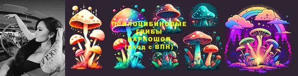 прущий лед Вязники