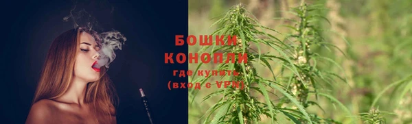стаф Медногорск